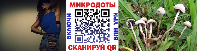 Псилоцибиновые грибы Psilocybine cubensis  blacksprut сайт  Ува 